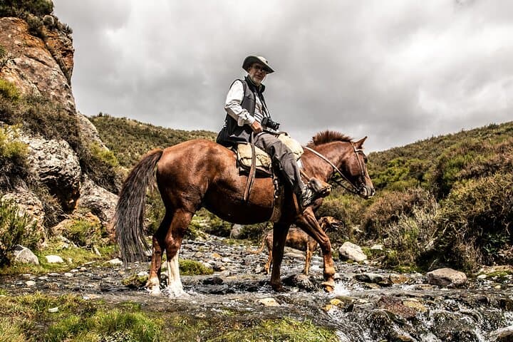 Ride with Gauchos: Full-Day Horseback Trek in the Andes with BBQ in Mendoza photo 4