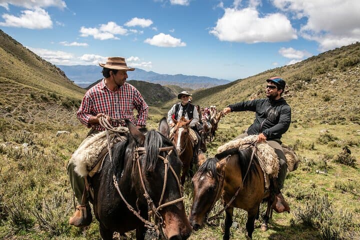 Ride with Gauchos: Full-Day Horseback Trek in the Andes with BBQ in Mendoza