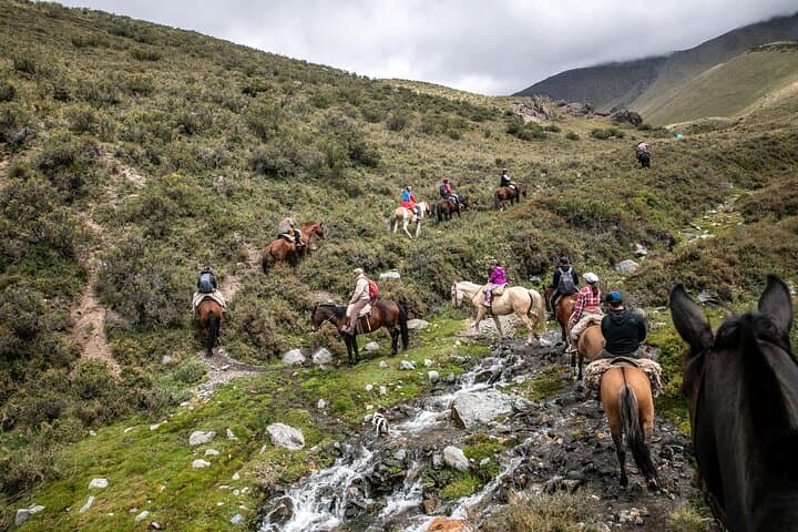 Ride with Gauchos: Full-Day Horseback Trek in the Andes with BBQ in Mendoza photo 3