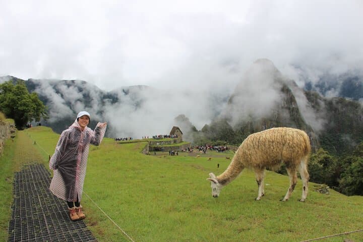 Short Inca Trail Trek to Machu Picchu — 2 Days, 1 Night From Cusco photo 3