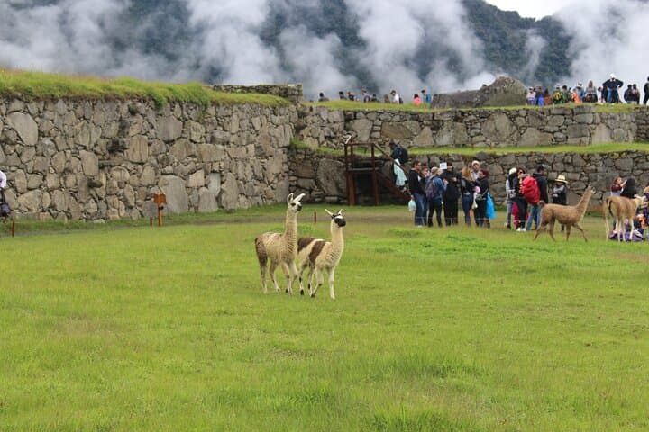 Short Inca Trail Trek to Machu Picchu — 2 Days, 1 Night From Cusco photo 5
