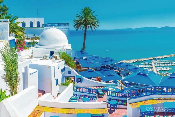 Discover Tunis: Carthage, Bardo Museum & Sidi Bou Said Day Tour