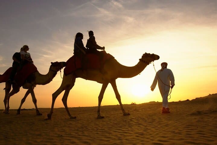 Sharm el Sheikh Desert Camel Ride, Bedouin Dinner & Stargazing Experience photo 3