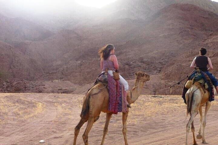 Sunset Camel Safari to Blue Lagoon & Wadi Bida — 1-Hour from Dahab photo 5