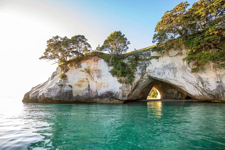 Private Coromandel Tour: Cathedral Cove, Hot Water Beach & Driving Creek Railway photo 2