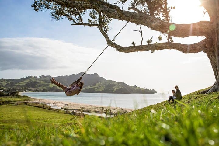 Private Coromandel Tour: Cathedral Cove, Hot Water Beach & Driving Creek Railway photo 4