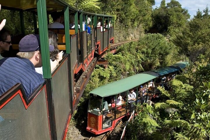 Private Coromandel Tour: Cathedral Cove, Hot Water Beach & Driving Creek Railway photo 3