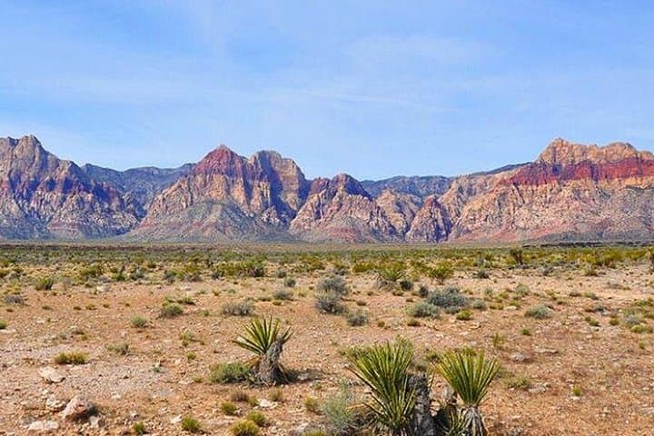 Red Rock Views & Seven Magic Mountains: Mojave Desert Day Tour from Las Vegas photo 2