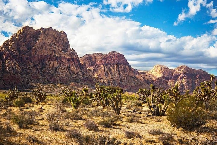Red Rock Views & Seven Magic Mountains: Mojave Desert Day Tour from Las Vegas photo 3