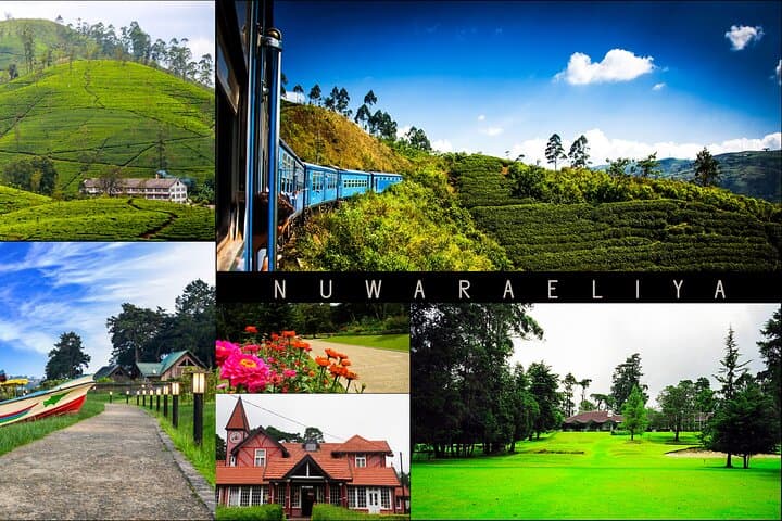 Kandy to Nuwara Eliya Day Trip: Little England, Tea Plantations & Ramboda Falls