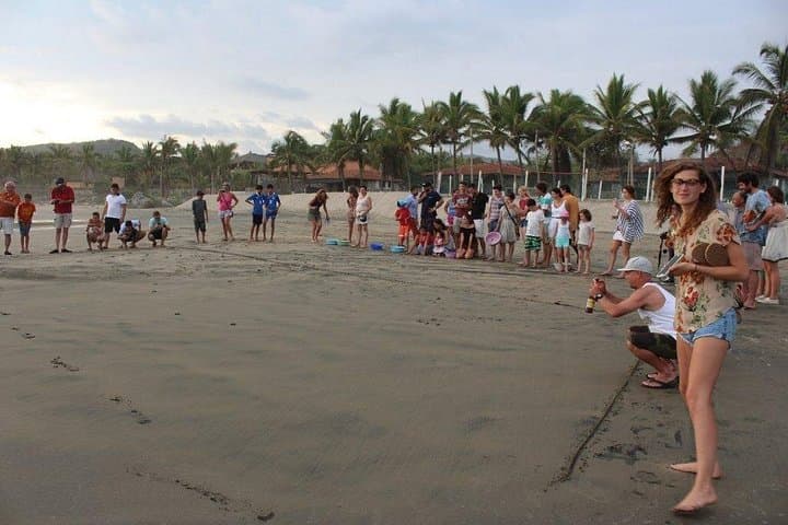 Troncones, Manzanillo & Majahua Beach Tour — Surf, Snorkel and Estuary Kayak photo 2