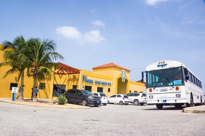 Aruba Private Full Island Tour — California Lighthouse, Bushiribana & Baby Beach (4-Hour Shore Excursion) photo 4