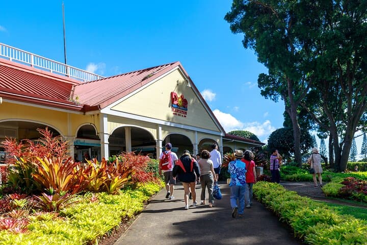 Oahu Circle Island Tour: Diamond Head to North Shore with Byodo-In & Free Mac Nuts photo 4