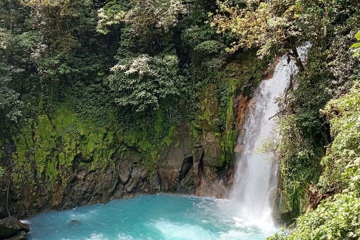 Rio Celeste Waterfall & Sloth Sanctuary Combo Tour — Full-Day Hike and Wildlife Viewing from Guanacaste photo 4