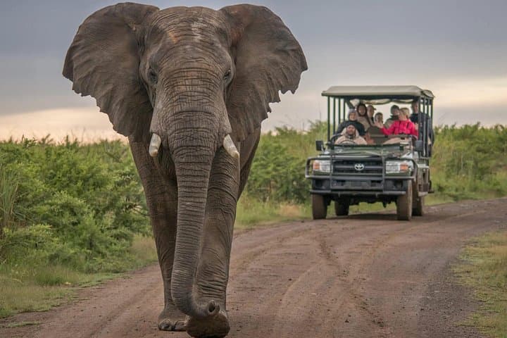 Garden Route & Addo Elephant Safari: 5-Day Small Group Adventure from Cape Town photo 1