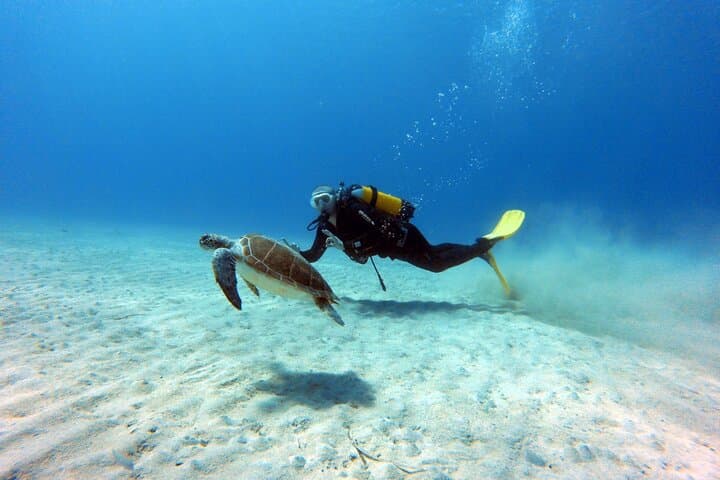 Green Bay Shore Dive (Ayia Napa): 10m Statue Garden & Turtle Spot for Certified Divers photo 1