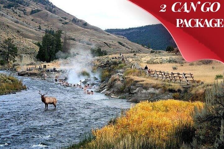 Explore Yellowstone and Grand Teton: A Small Group 6-Day Immersive Adventure