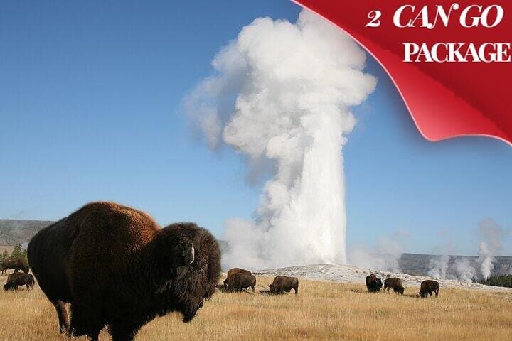 4-Day Yellowstone & Grand Teton Small-Group Tour — Old Faithful, Grand Prismatic & Jackson Lake photo 2
