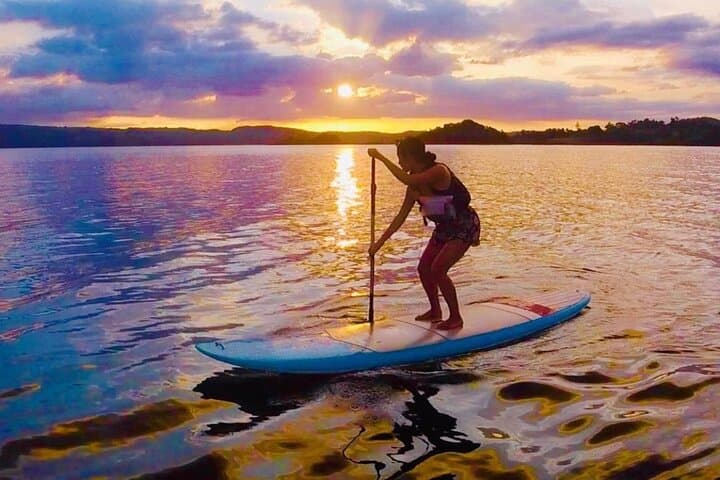 Lake Arenal Private Paddle Board Experience: Guided SUP on Costa Rica’s Largest Lake photo 5