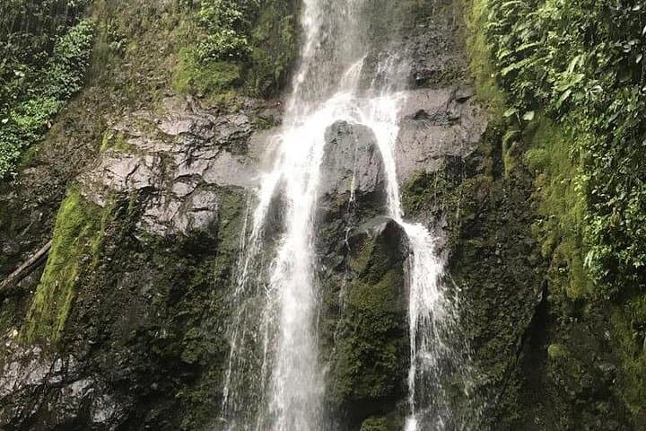 Arenal Inspirations Combo: Hanging Bridges, Volcano Views & La Fortuna Waterfall photo 4