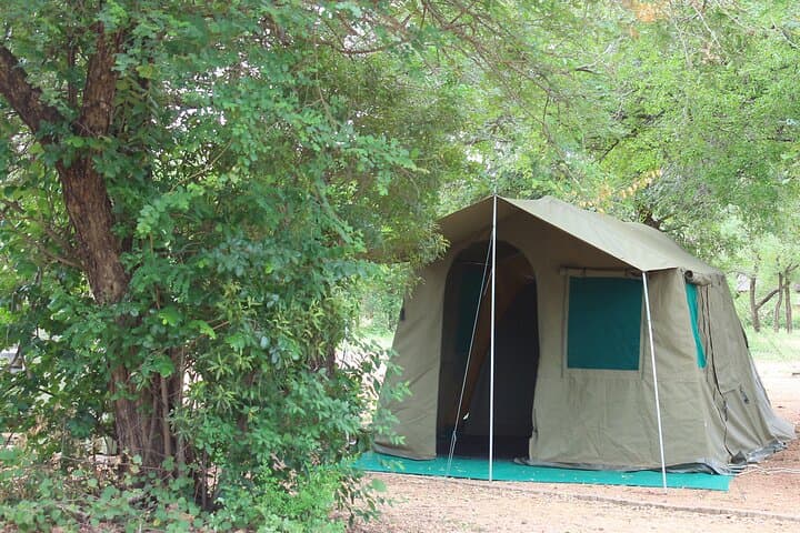 Under Canvas: 4-Day Private Kruger Safari with Open-Vehicle Game Drives photo 3