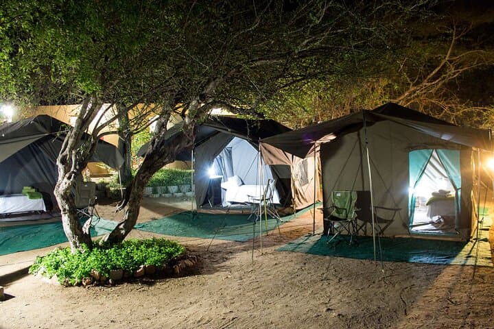 Under Canvas: 4-Day Private Kruger Safari with Open-Vehicle Game Drives