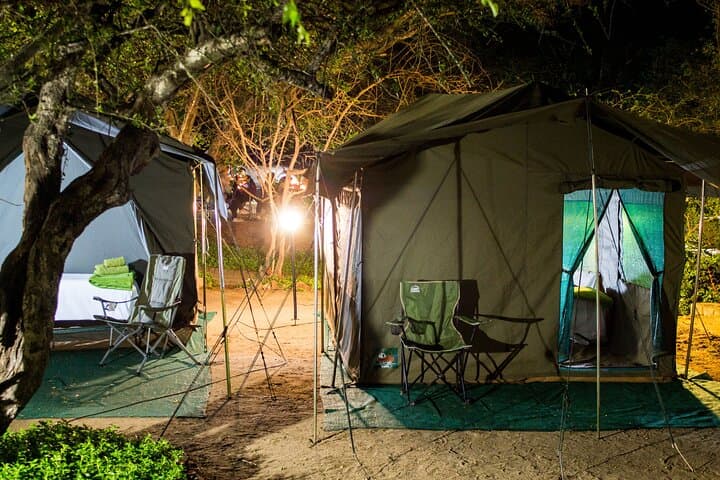 Under Canvas: 4-Day Private Kruger Safari with Open-Vehicle Game Drives photo 6