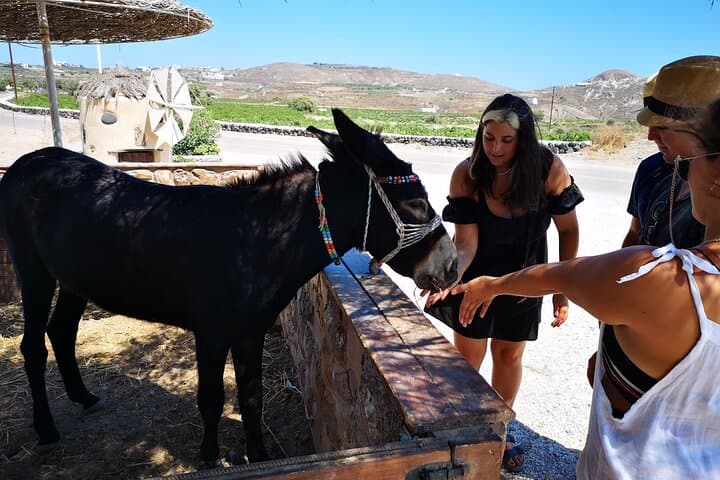 Private 4-Hour Santorini Photo Tour: Oia, Blue Domes & Caldera Views photo 6