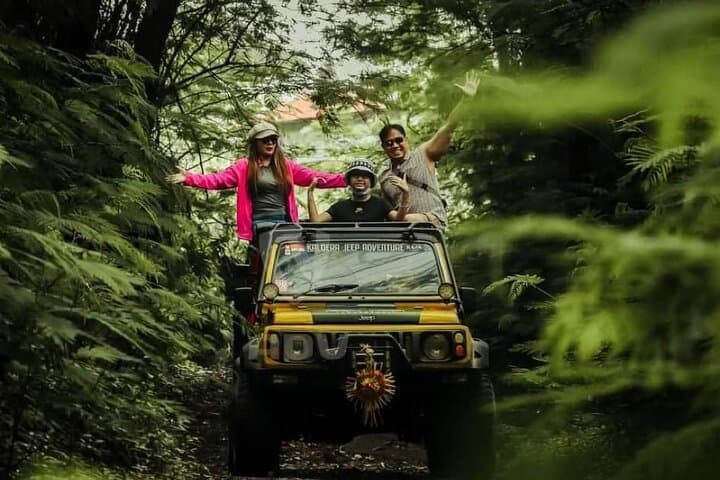 Mount Batur Jeep Tour: Kintamani 4WD Lava Fields & Hot Springs photo 4