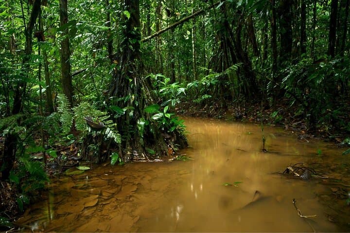 3-Day Refugio Amazonas: Immersive Amazon Jungle Lodge Experience photo 4
