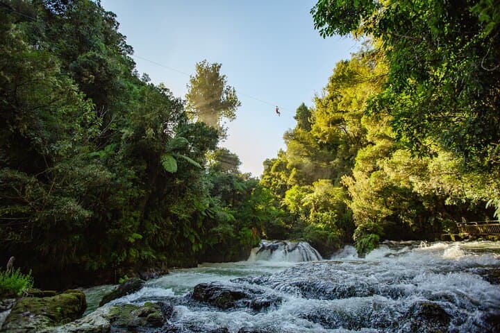 Flying Above the Kaituna: Okere Falls Zipline Adventure in Rotorua