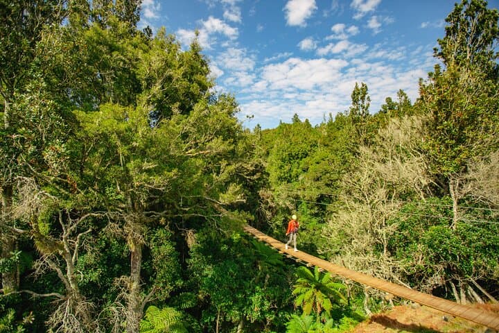 Flying Above the Kaituna: Okere Falls Zipline Adventure in Rotorua photo 5