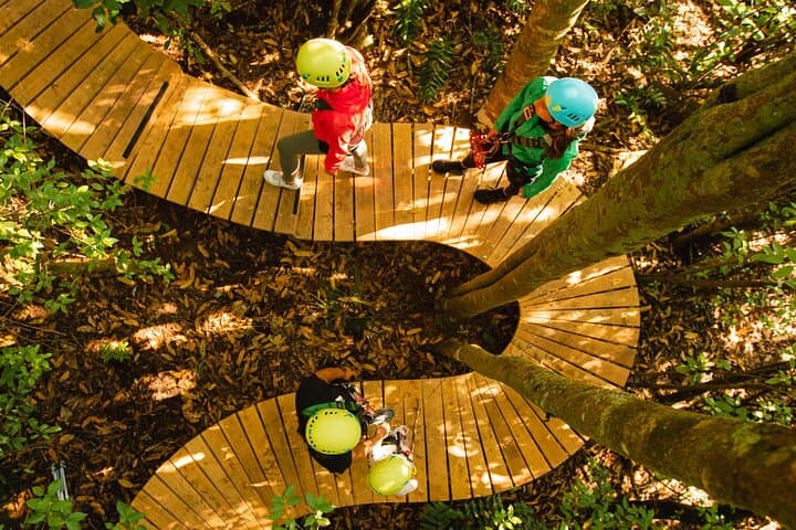 Flying Above the Kaituna: Okere Falls Zipline Adventure in Rotorua photo 2