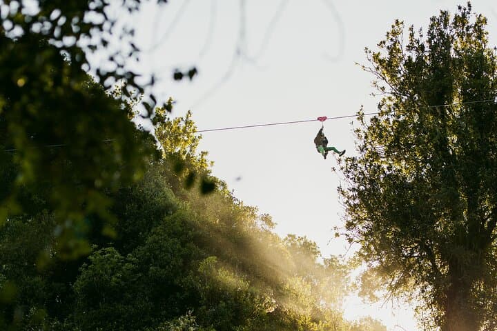 Flying Above the Kaituna: Okere Falls Zipline Adventure in Rotorua photo 6