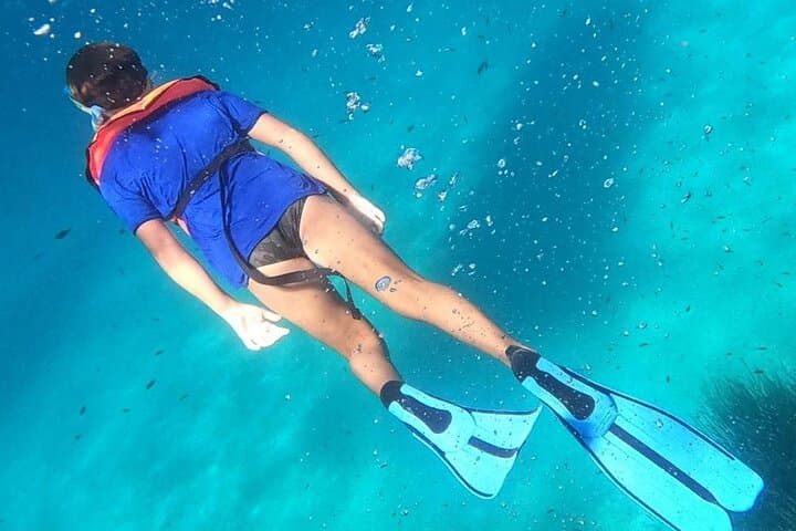 Figarolo Dolphin Watching & Snorkeling — Golfo Aranci Sea Safari photo 4