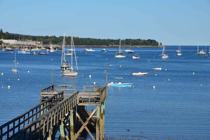 Acadia Private Highlights Tour: Cadillac Summit, Somes Sound & Lobster Lunch photo 4