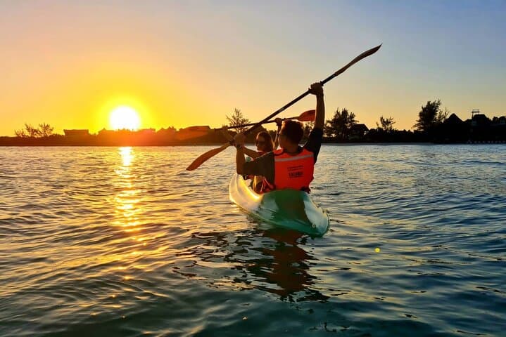 Sunrise Kayak Through Holbox Mangrove Labyrinth: Wildlife & Dawn Colors photo 3