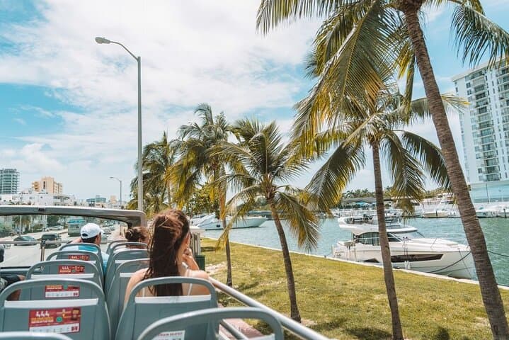 Speed-Boat Thrill on Biscayne Bay with Miami Double-Decker Hop-On Tour photo 6