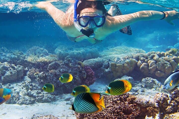 Waikiki Sail and Snorkel Adventure — Turtle Canyons & Coastal Sailing photo 3