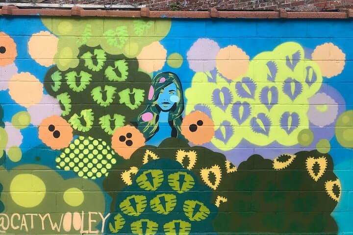 Bushwick Street Art Walking Tour — Private Graffiti & Mural Experience in Brooklyn photo 6