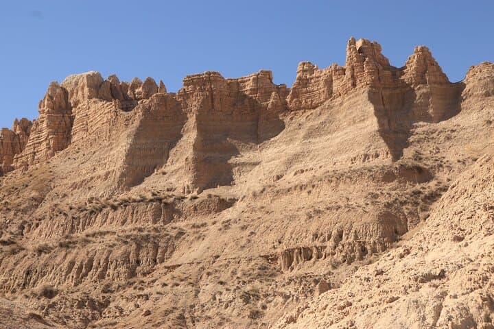 Wildlife Biologist's Field Expedition in Badlands National Park — Discover Fossils, Bison & Agate Fields photo 6