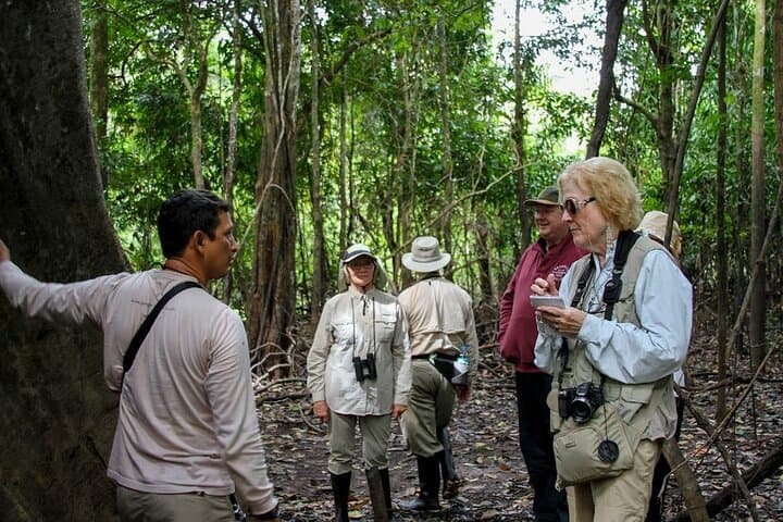 4-Day Amazon Expedition Cruise on La Perla — Pacaya Samiria Wildlife & Community Experience photo 4