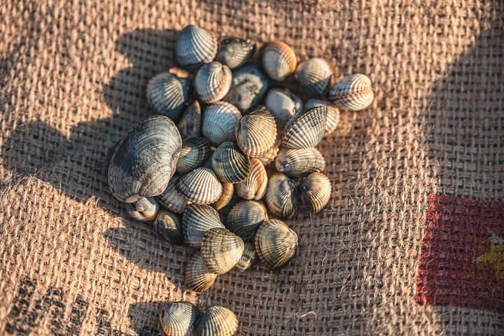 Stagnone Lagoon Private Boat Tour: Sicilian Shellfish & Fishermen’s Traditions photo 3