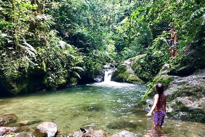 Hike to Santa Rita Waterfall and Salento Walking Tour — Coffee Region Day Hike photo 2