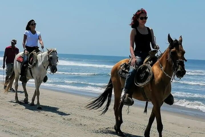 Acapulco Horseback Ride & Baby Turtle Release at Afro-Mex Village