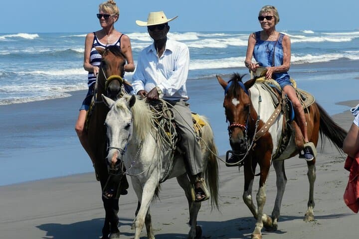 Acapulco Horseback Beach Ride, Crocodile Farm & Cliff Diver Experience photo 5