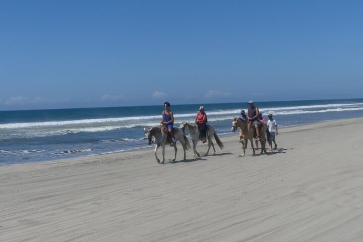 Acapulco Horseback Beach Ride, Crocodile Farm & Cliff Diver Experience