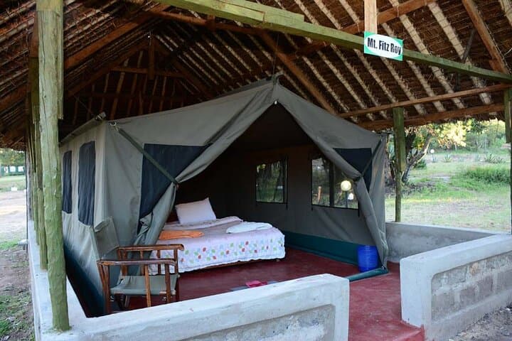 3-Day Masai Mara Group Safari by 4x4 Land Cruiser — Big Five & Tented Camp photo 4