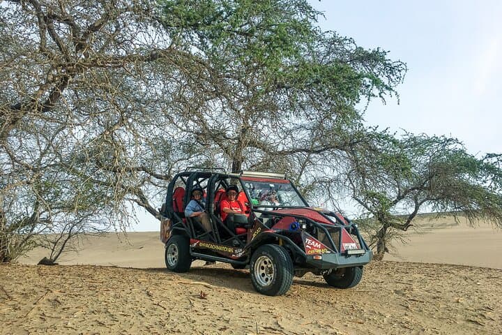 Buggy and Sandboard Adventure in Paracas Desert