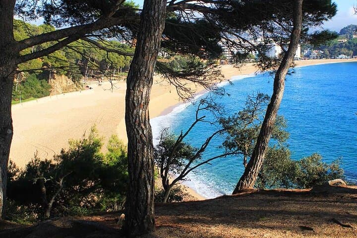Paddle Through Hidden Coves: 2-Hour Guided Kayak Tour on the Costa Brava photo 5